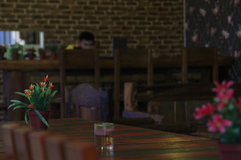 Clover Homestay Проболинго Екстериор снимка