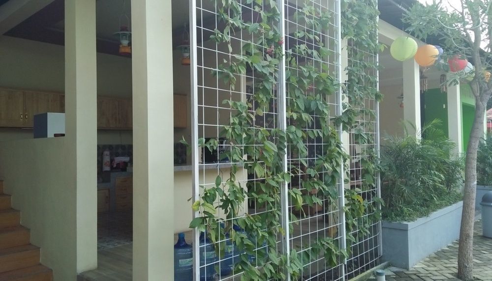 Clover Homestay Проболинго Екстериор снимка